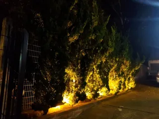 Casa com 2 dormitórios, foto 13
