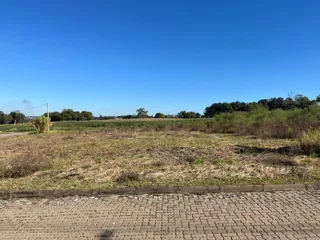 Vista panorâmica de um campo aberto com vegetação seca e árvores ao fundo.