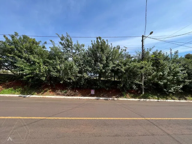 Terreno, foto 4