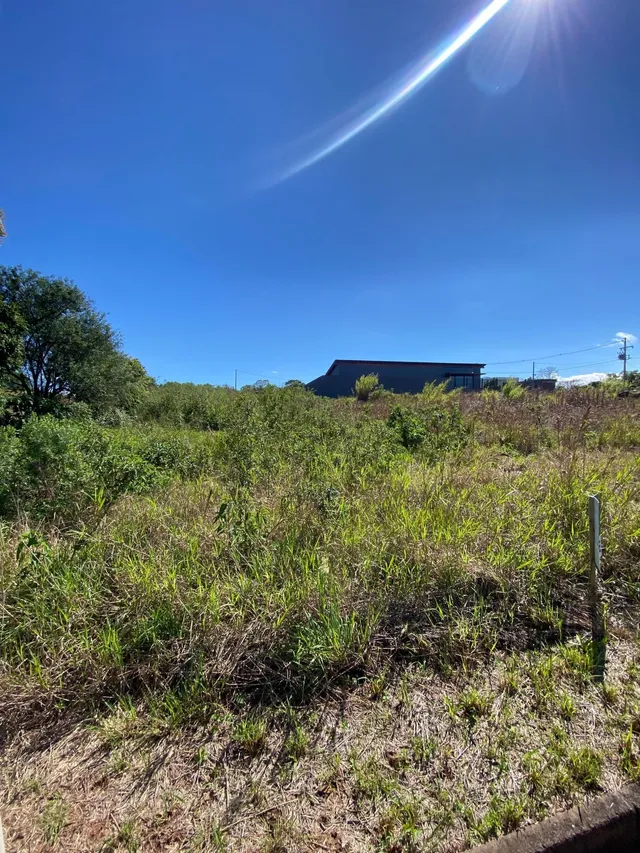 Vista externa mostrando vegetação alta e um prédio no fundo sob um céu azul.