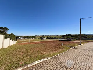 Terreno, foto 3