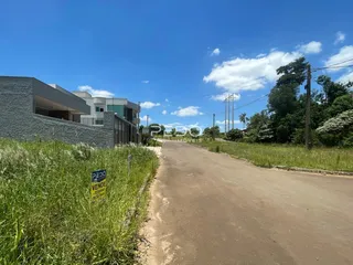 Vista da rua com vegetação ao lado de residências em Lajeado.
