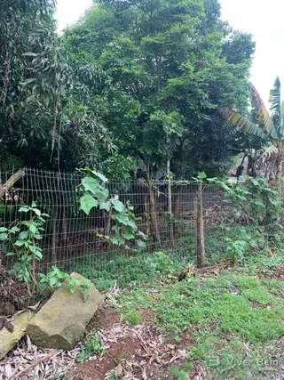 Terreno, foto 2