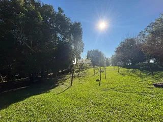 Área rural com 2 dormitórios, foto 19