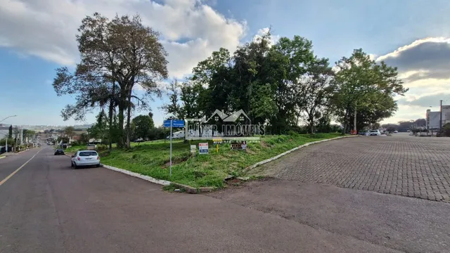 Terreno, foto 3