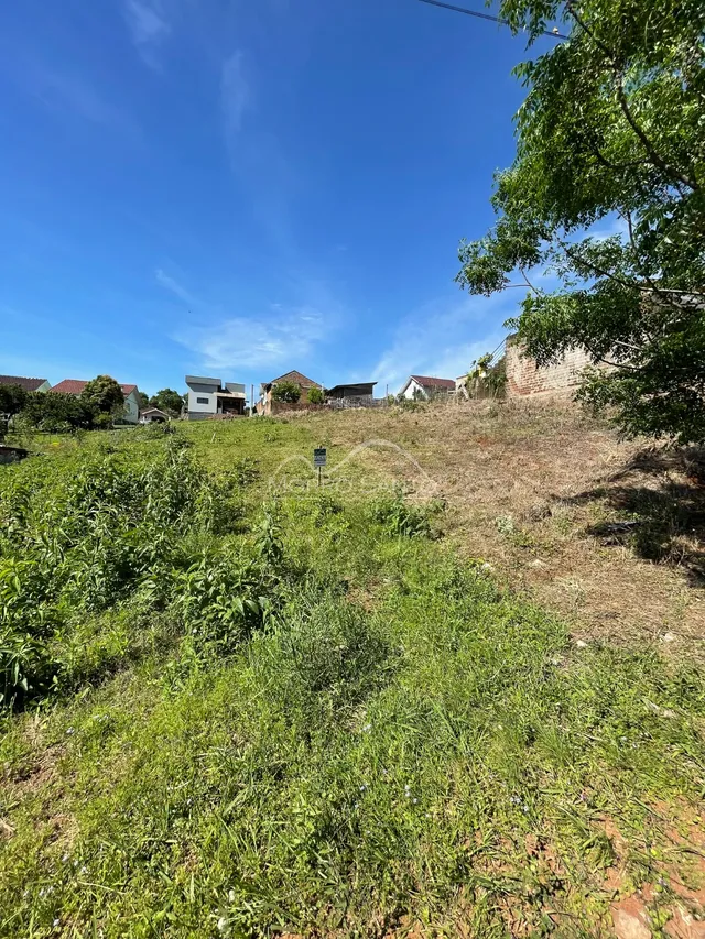 Terreno, foto 3