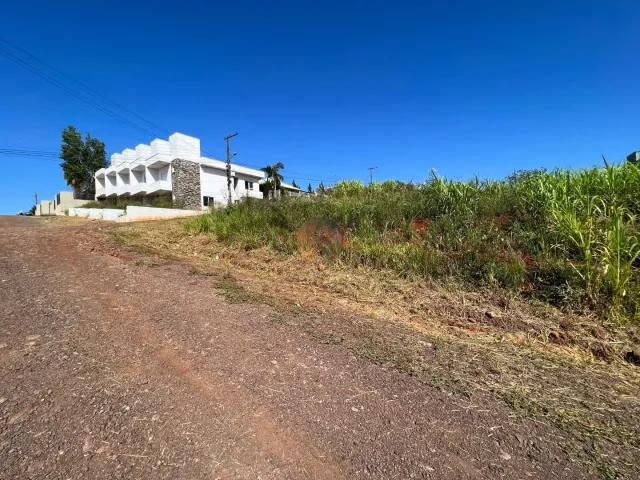 Terreno, foto 3