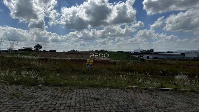 Vista de campo aberto com vegetação seca e uma estrada no primeiro plano.