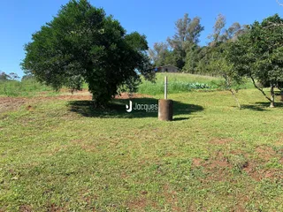 Vista de um campo gramado com árvores e vegetação ao fundo.