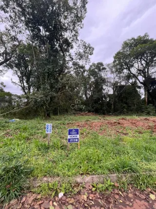 Terreno, foto 3