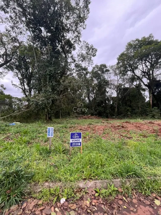 Terreno, foto 3