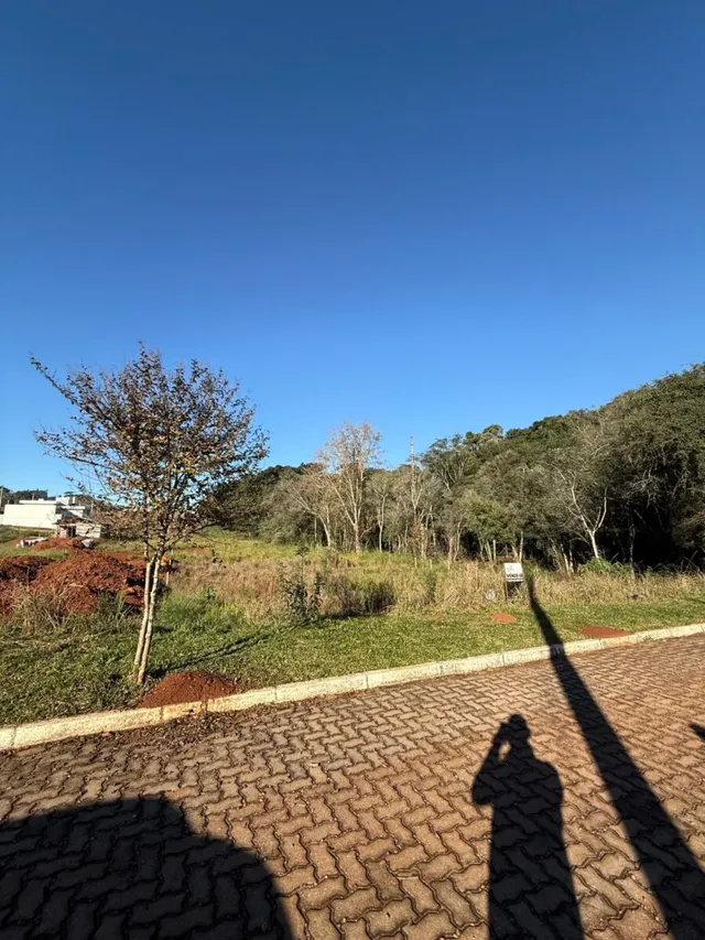 Vista externa de uma propriedade com paisagem e área pavimentada.