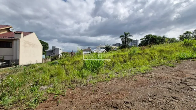 Terreno, foto 2