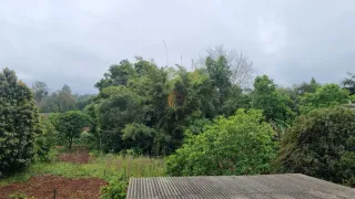 Terreno, foto 3