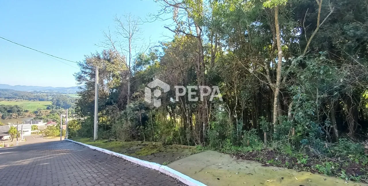 Terreno, foto 1