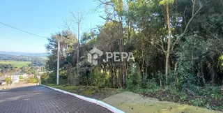Terreno, foto 1