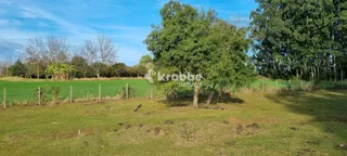 Área rural com 3 dormitórios, foto 8