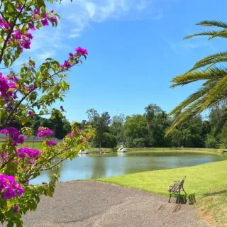 Terreno, foto 7