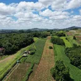 Área rural com 3 dormitórios, foto 4