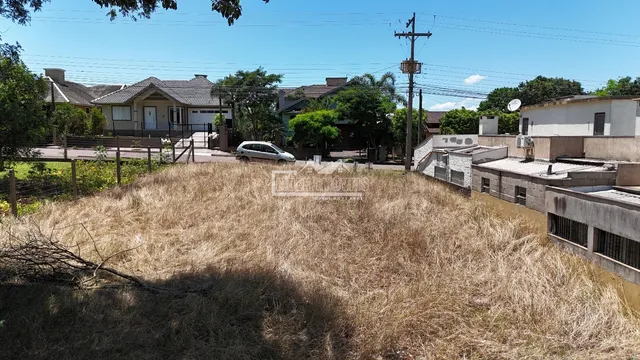Terreno, foto 2