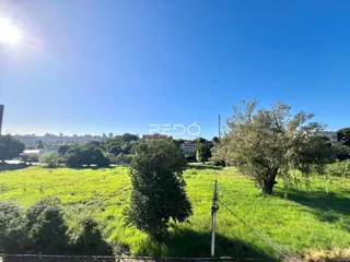 Paisagem de campo verde com árvores sob um céu azul claro.