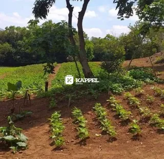 Paisagem de terra seca com vegetação jovem em uma área externa.