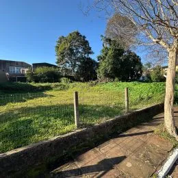 Vista externa de um gramado com cerca e árvores em Lajeado.