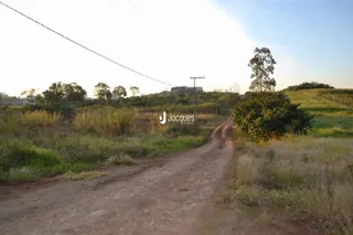 Uma estrada de terra atravessa um campo gramado no exterior.