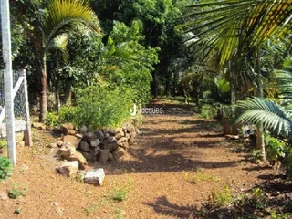 Terreno, foto 3