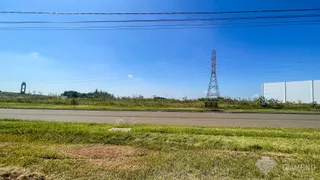 Terreno, foto 6