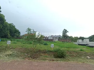 Vista externa de um terreno com vegetação e sinais no primeiro plano.