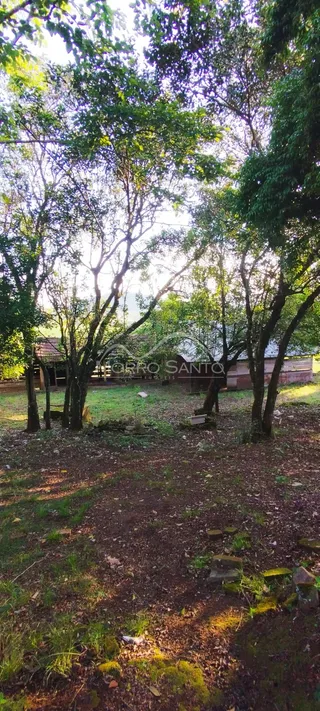 Vista externa mostrando árvores e vegetação em uma área de terreno.