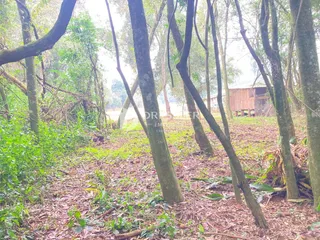 Terreno, foto 15