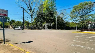 Terreno, foto 6