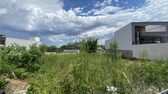 Terreno, foto 3