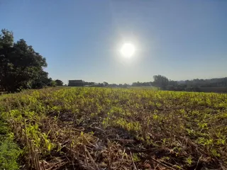 Área rural, foto 7
