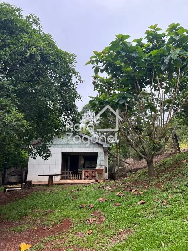 Área rural
