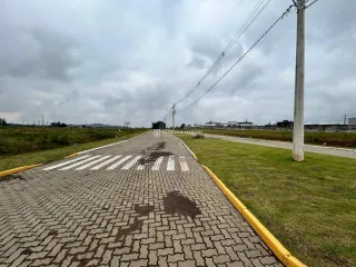 Vista de uma estrada pavimentada com faixas de pedestres em uma área verde.