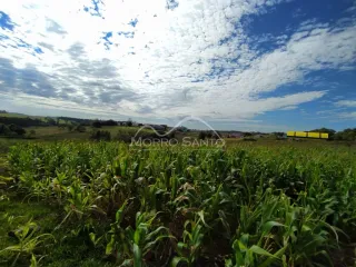 Área rural, foto 4