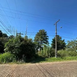 Terreno, foto 4