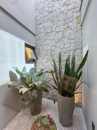 Parede de pedra com plantas decorativas em um ambiente interno.