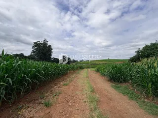 Área rural, foto 7