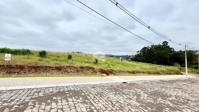 Vista da paisagem e do terreno com vegetação ao longo de uma estrada em Lajeado.