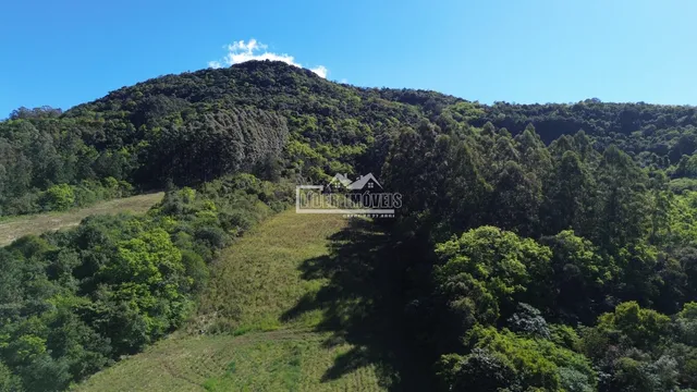 Vista de uma paisagem montanhosa coberta por floresta densa.