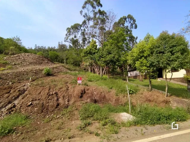 Imagem de uma área de terra com vegetação e árvores.
