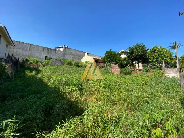 Terreno, foto 4