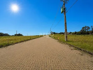 Terreno, foto 4