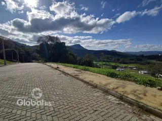 Vista da estrada de acesso à propriedade em Lajeado.