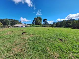 Área rural com 2 dormitórios, foto 10