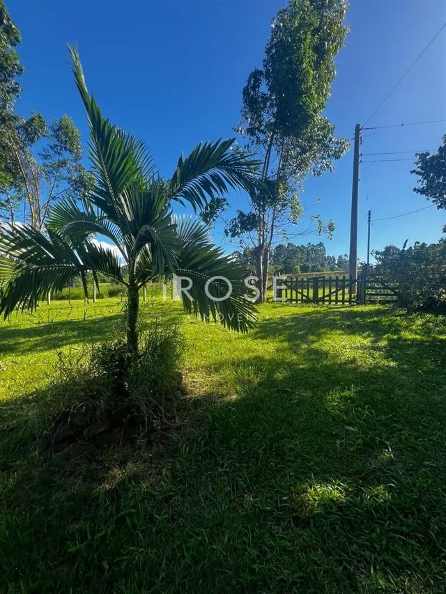 Área rural com 1 dormitório, foto 4